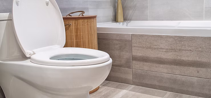 How the Toilet Works